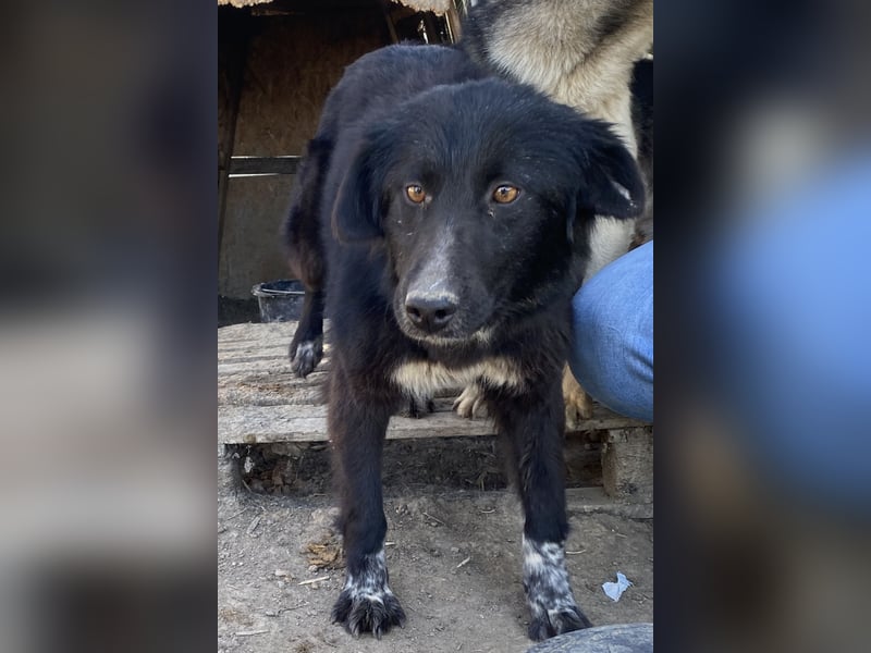 Cindy - freundlich und aufgeschlossen