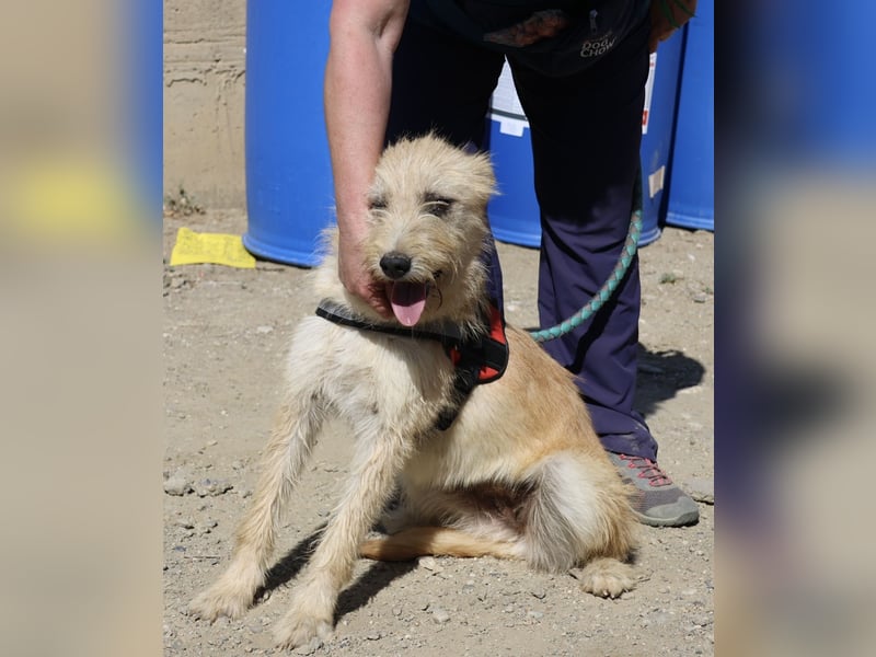 Lady, offen, freundlich und zutraulich / reserviert