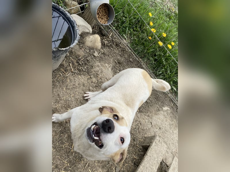 Marlene - aufgeschlossen und neugierig