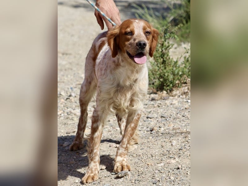 Aldo, menschenbezogen, klug und aufgeschlossen