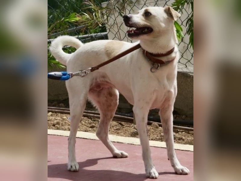 Coco, offen, menschenbezogen, freundlich