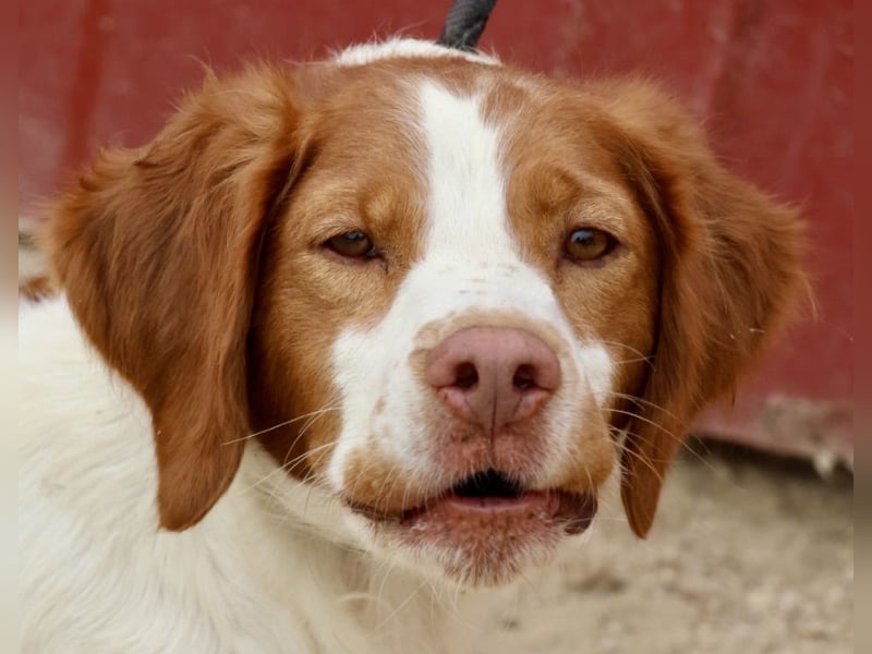 Ralf - klug, bewegungsfreudig und offen