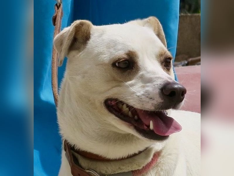 Coco, offen, menschenbezogen, freundlich