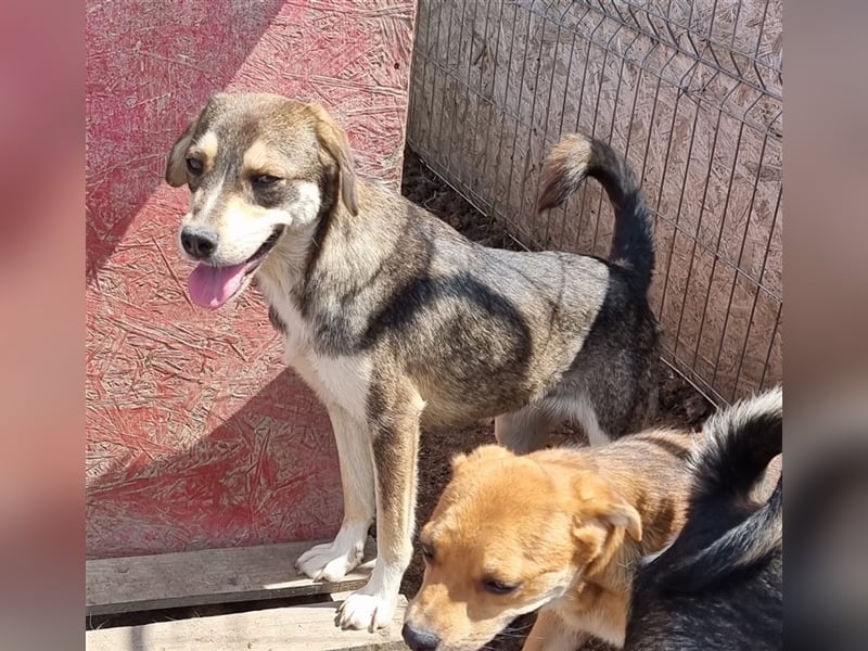 Marlinda - freundlich und interessiert