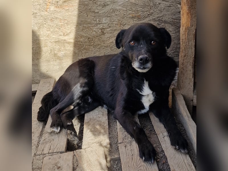 Bounty - ruhig und entspannt