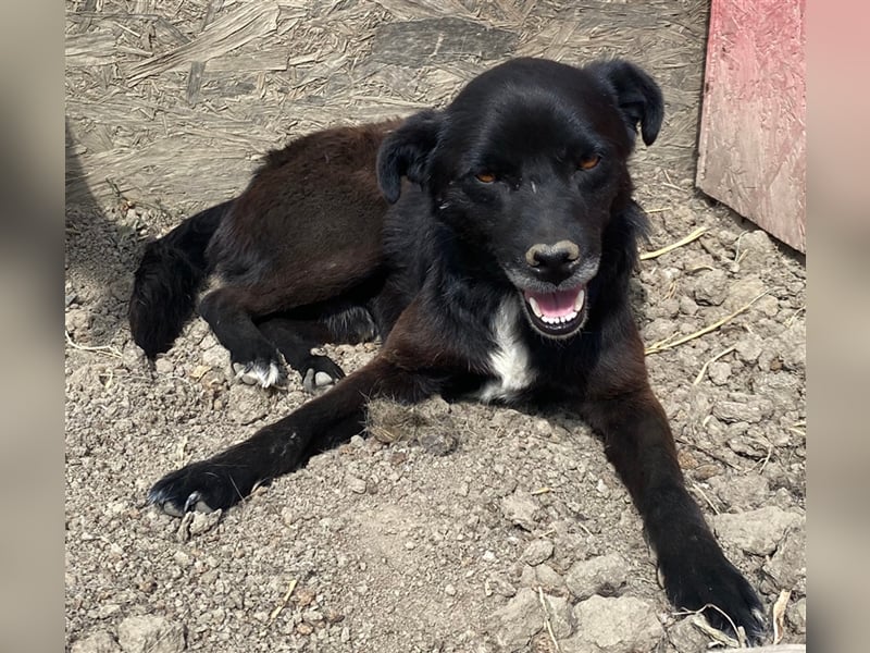 Bounty - ruhig und entspannt