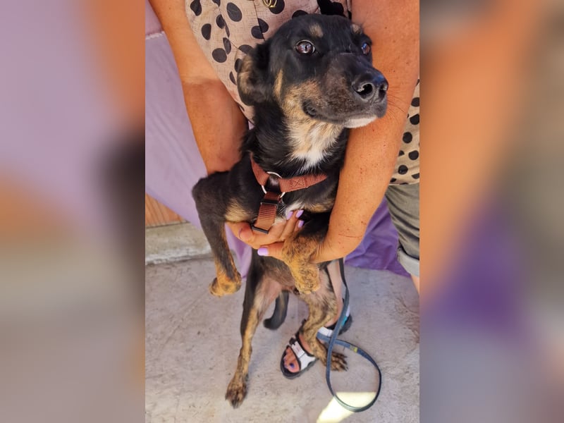 Melvin - neugierig und verspielt