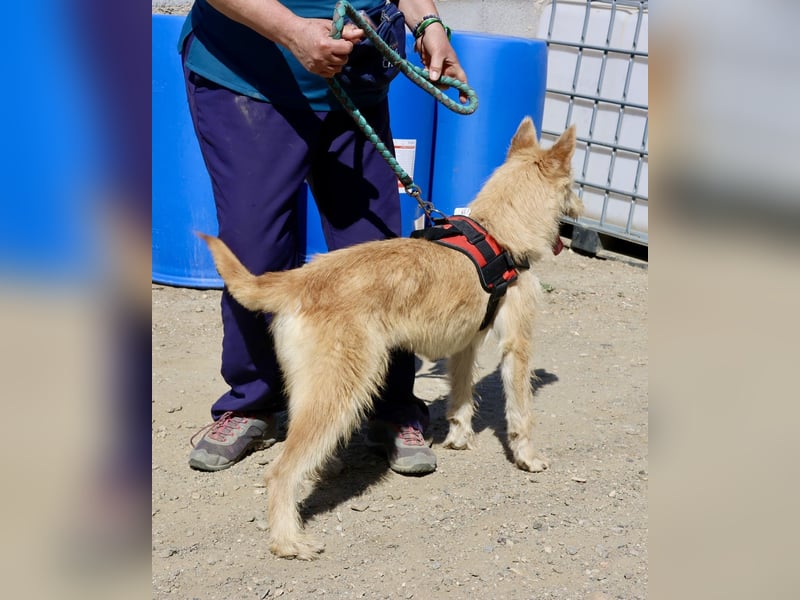 Lady, offen, freundlich und zutraulich / reserviert