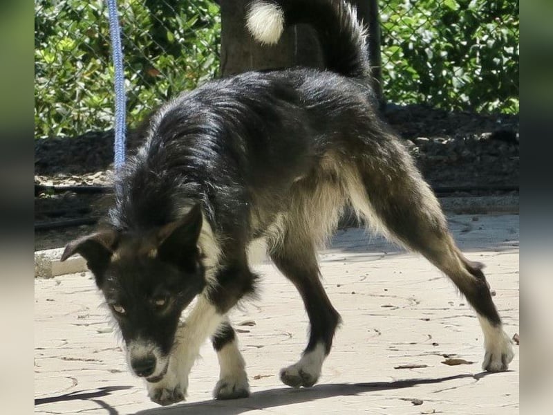 Jesika, freundlich, aufgeschlossen, neugierig