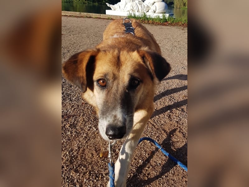 Violet - entspannte Begleiterin - BEREITS IN DEUTSCHLAND