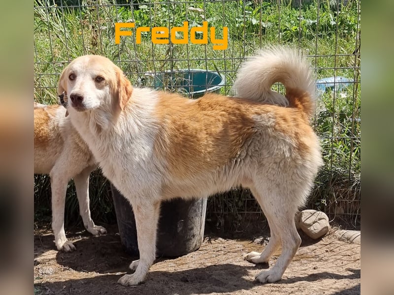 Freddy und Frieda - neugierige Geschwister