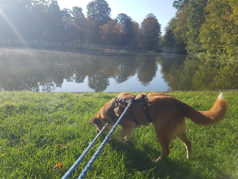 Violet - entspannt und menschenbezogen - BEREITS IN DEUTSCHLAND