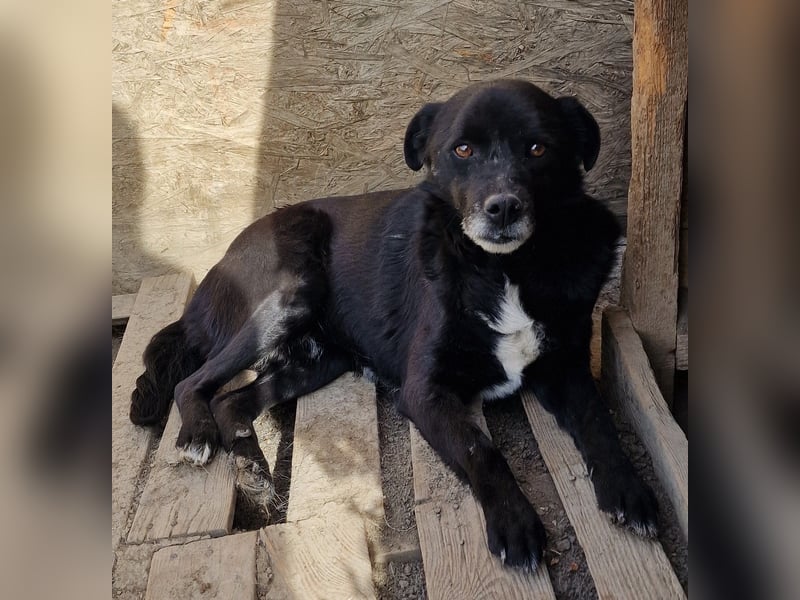 Bounty - ruhig und vorsichtig