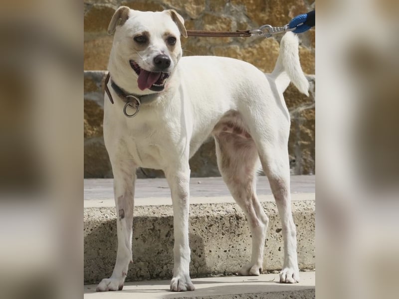 Coco, offen, menschenbezogen, freundlich