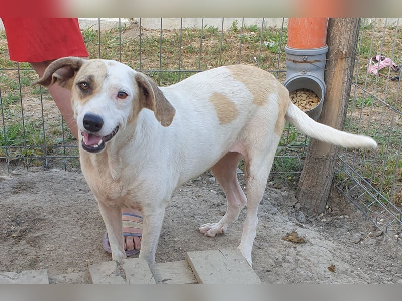 Marlene - aufgeschlossen und neugierig