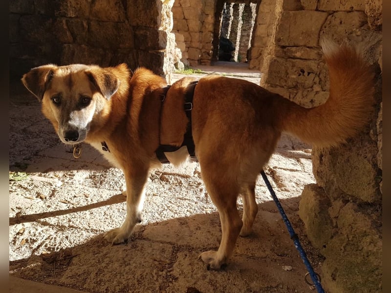 Violet - freundlich und gemütlich - BEREITS IN DEUTSCHLAND