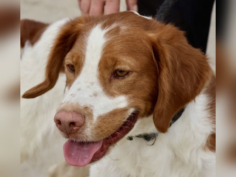 Ralf - klug, bewegungsfreudig und offen