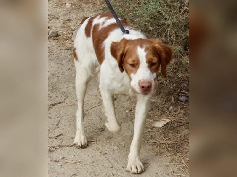 Ralf - klug, bewegungsfreudig und offen