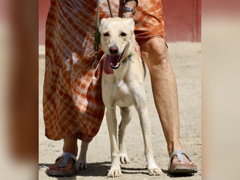 Susi - lernwillig, klug und zugänglich