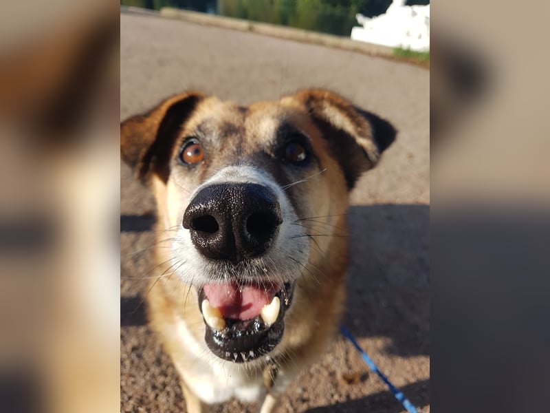 Violet - freundlich und gemütlich - BEREITS IN DEUTSCHLAND