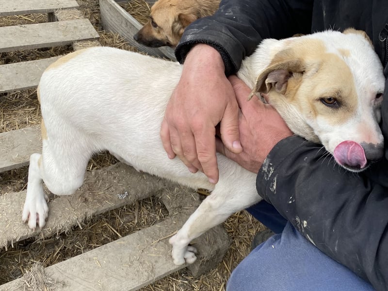 Marlene - zutraulich und verschmust
