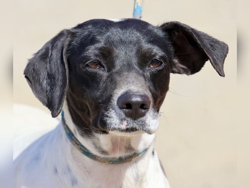 Gaia, sehr sozial, sanft und menschenbezogen