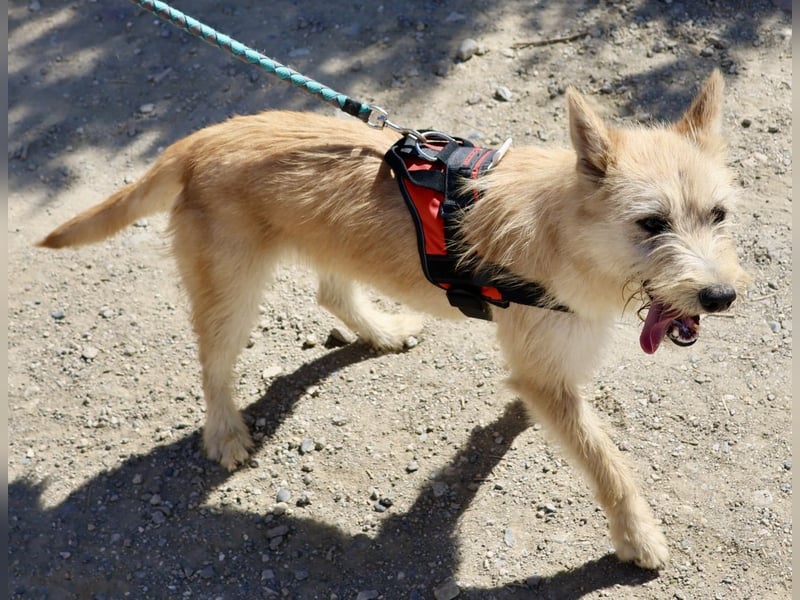 Lady, offen, freundlich und zutraulich / reserviert