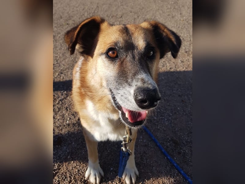 Violet - entspannte Begleiterin - BEREITS IN DEUTSCHLAND