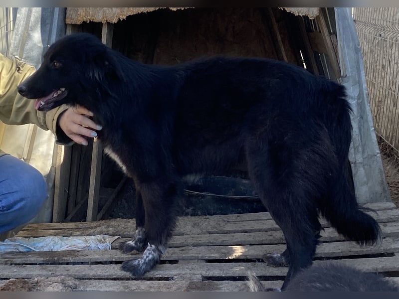 Cindy - freundlich und aufgeschlossen