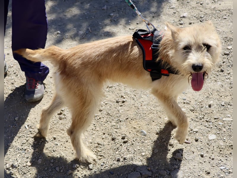 Lady, offen, freundlich und zutraulich / reserviert