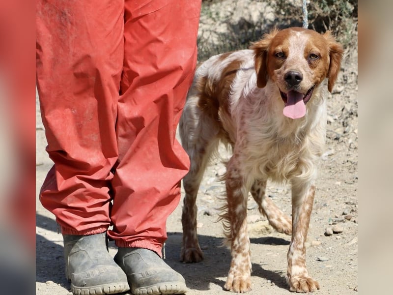Aldo, menschenbezogen, klug und aufgeschlossen