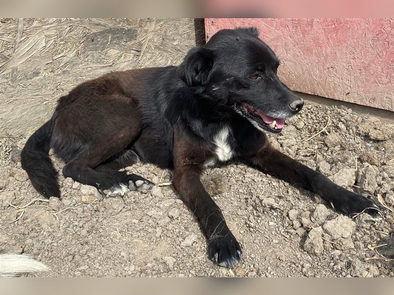 Bounty - ruhig und entspannt