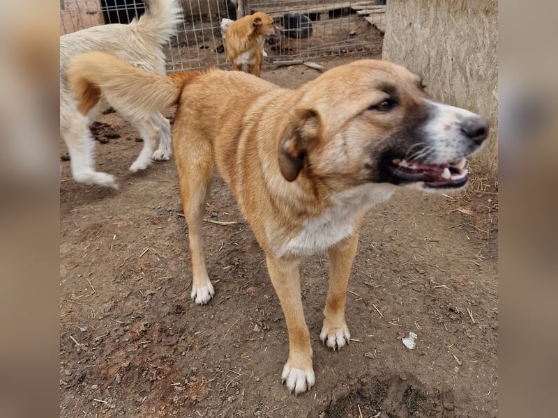 Rabea - freundlich und neugierig