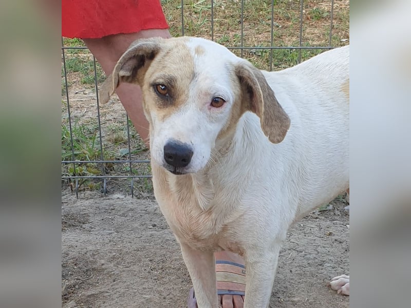 Marlene - aufgeschlossen und neugierig