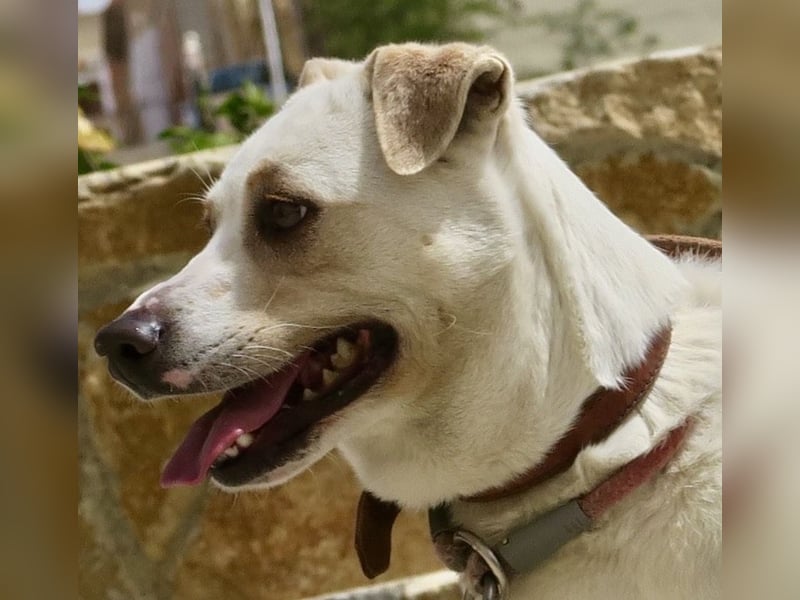 Coco, offen, menschenbezogen, freundlich