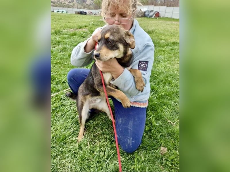 Lenni - freundlich und neugierig