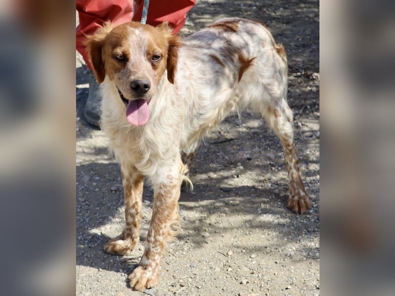 Aldo, menschenbezogen, klug und aufgeschlossen