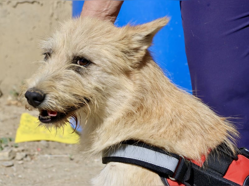 Lady, offen, freundlich und zutraulich / reserviert