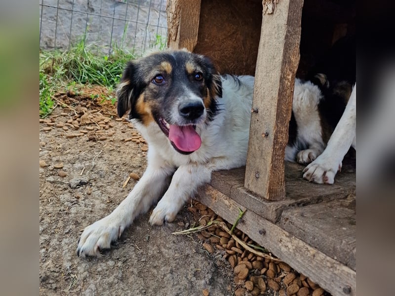 Gretchen - interessiert und neugierig
