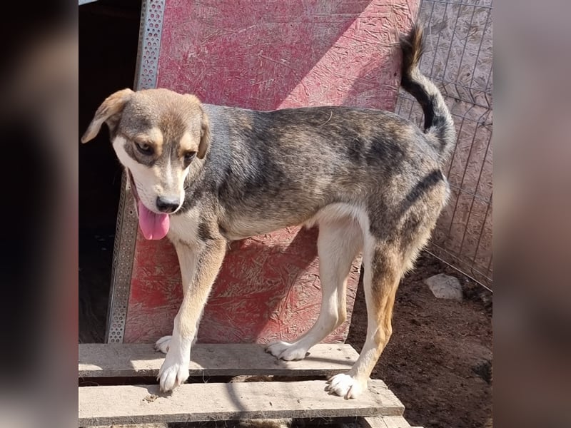 Marlinda - freundlich und interessiert