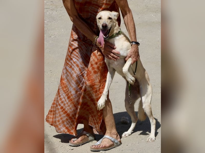 Susi - lernwillig, klug und zugänglich