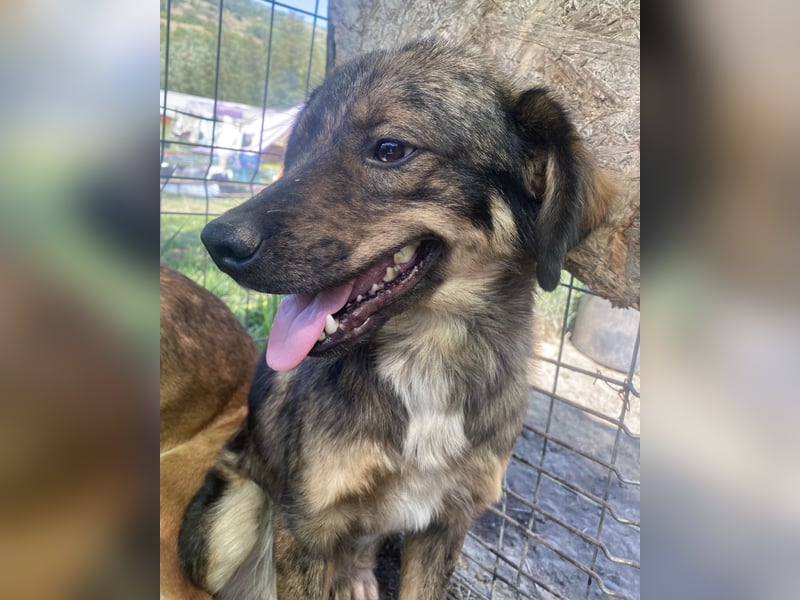 Azul - freundlich und interessiert