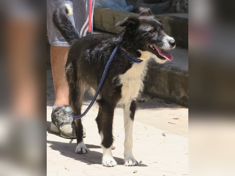 Jesika, freundlich, aufgeschlossen, neugierig