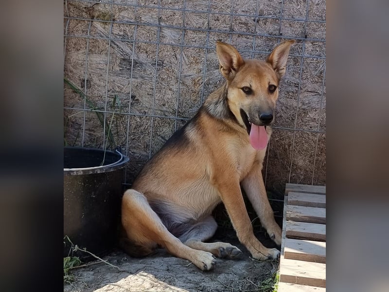 Gianna - vorsichtig und freundlich