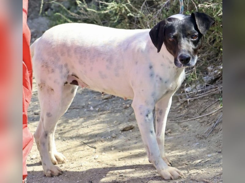 Gaia, sehr sozial, sanft und menschenbezogen