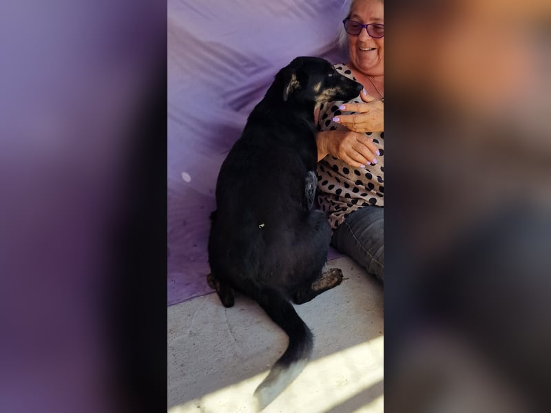 Melvin - neugierig und verspielt