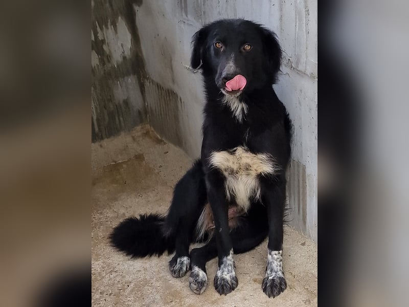 Cindy - freundlich und aufgeschlossen