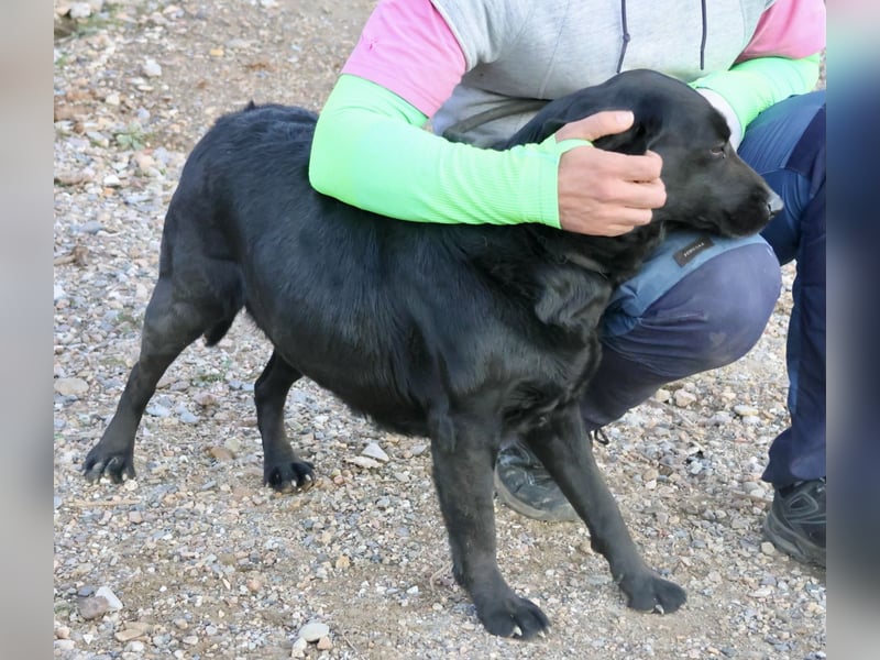 Liliana - schmust gerne, zutraulich und offen