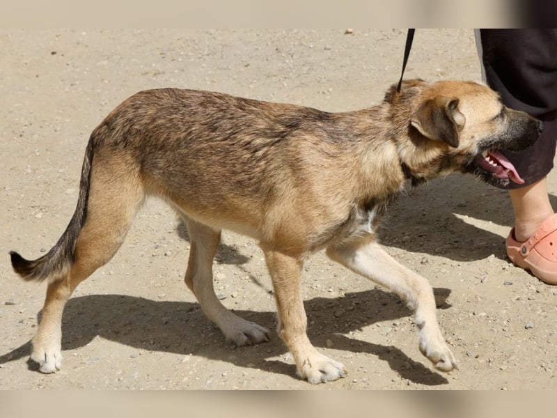 Nata, zurückhaltend, lernwillig, liebevoll