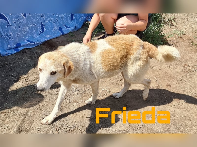 Freddy und Frieda - neugierige Geschwister